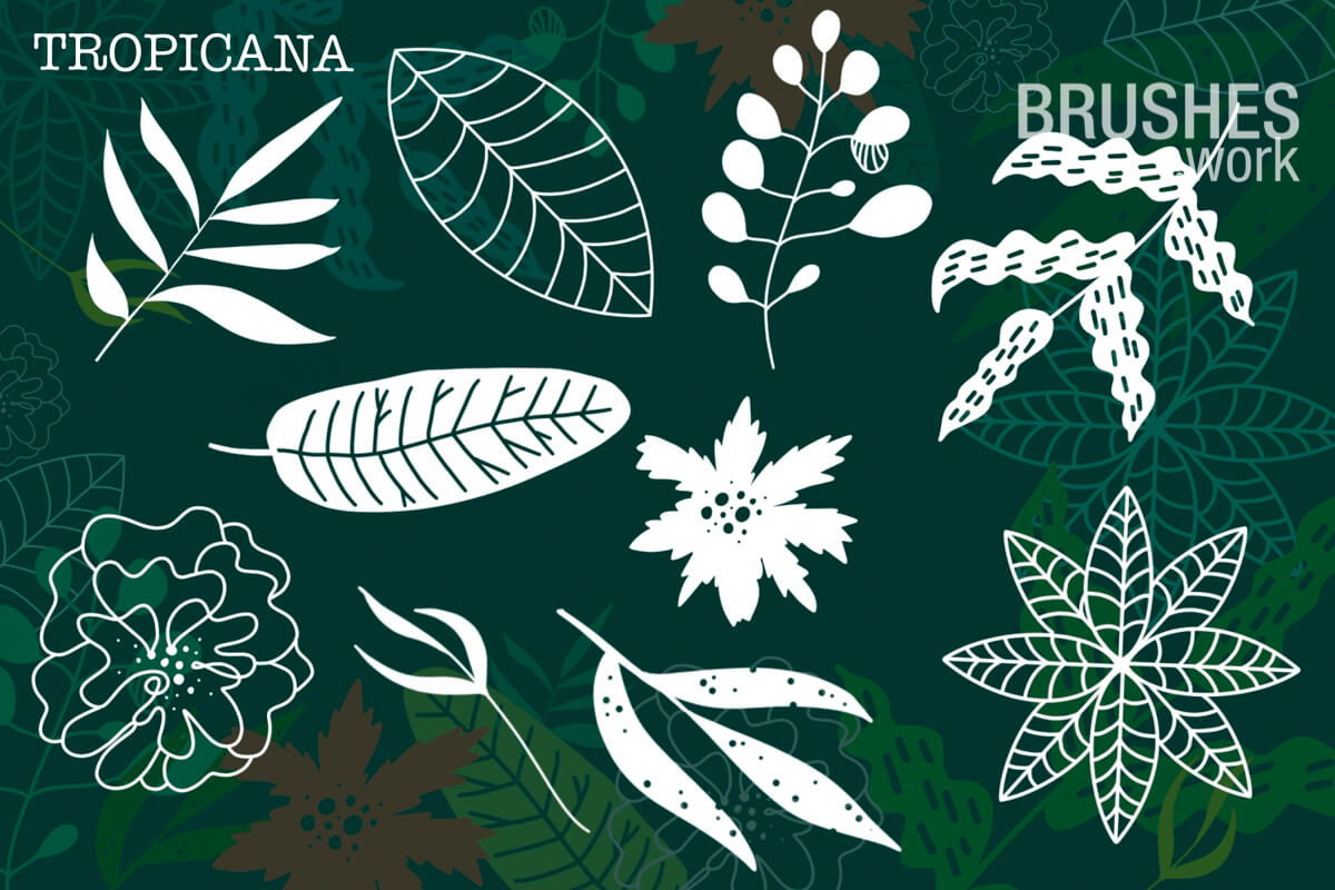 Tropicana preview 3