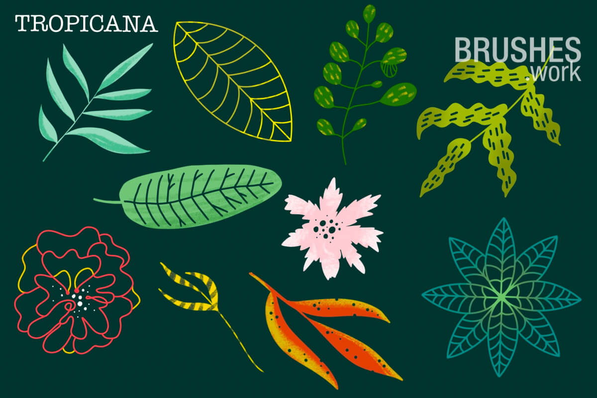 Tropicana preview 4