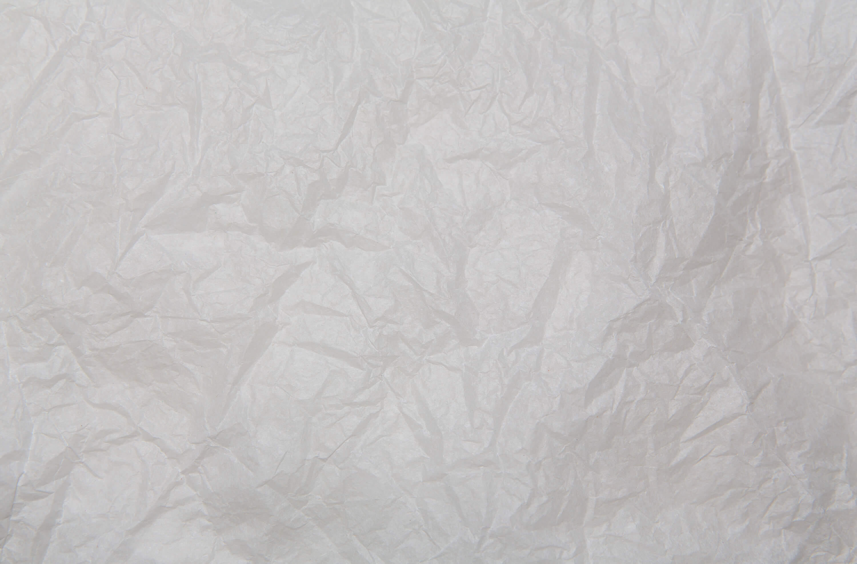 Texture 18