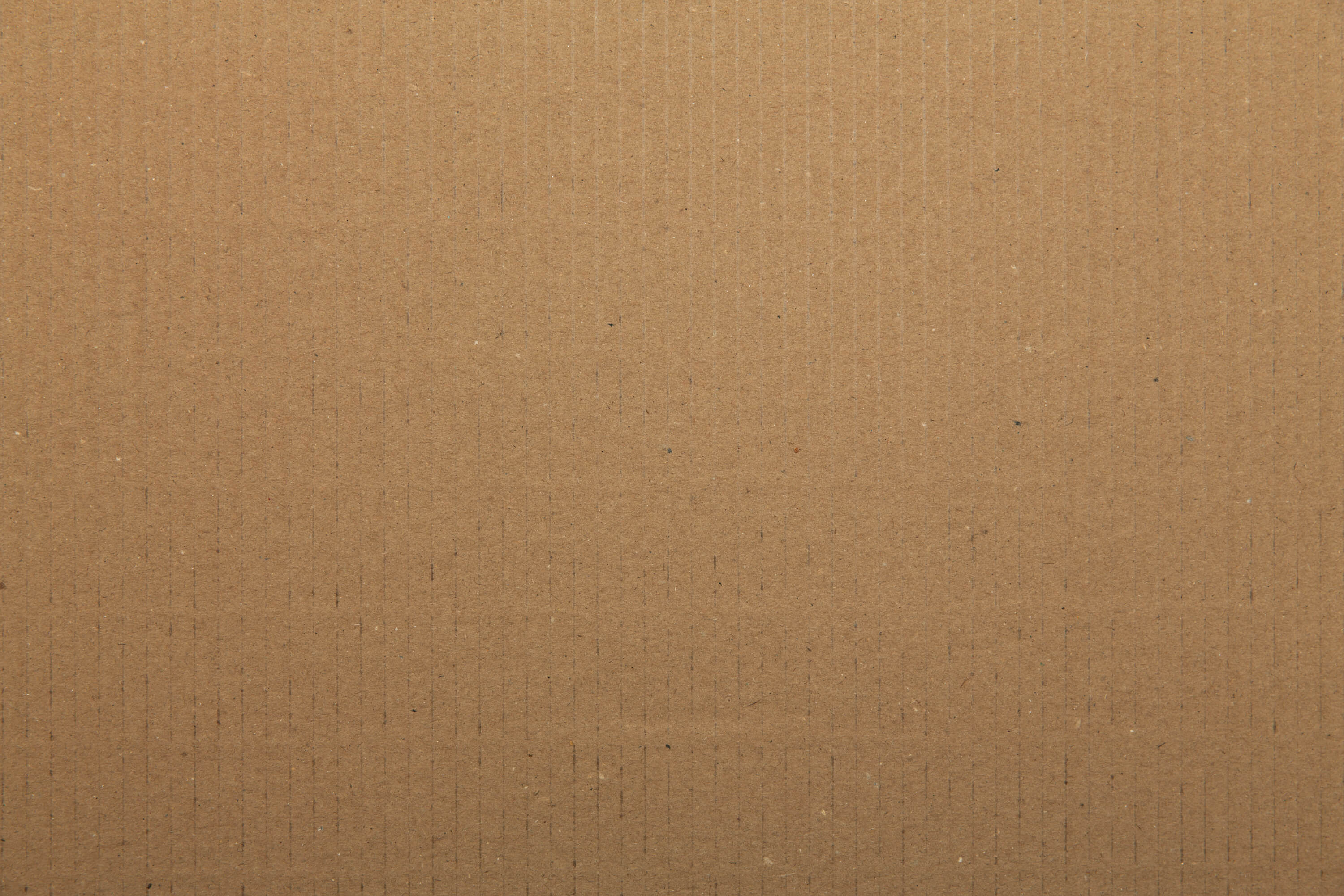 Texture 19