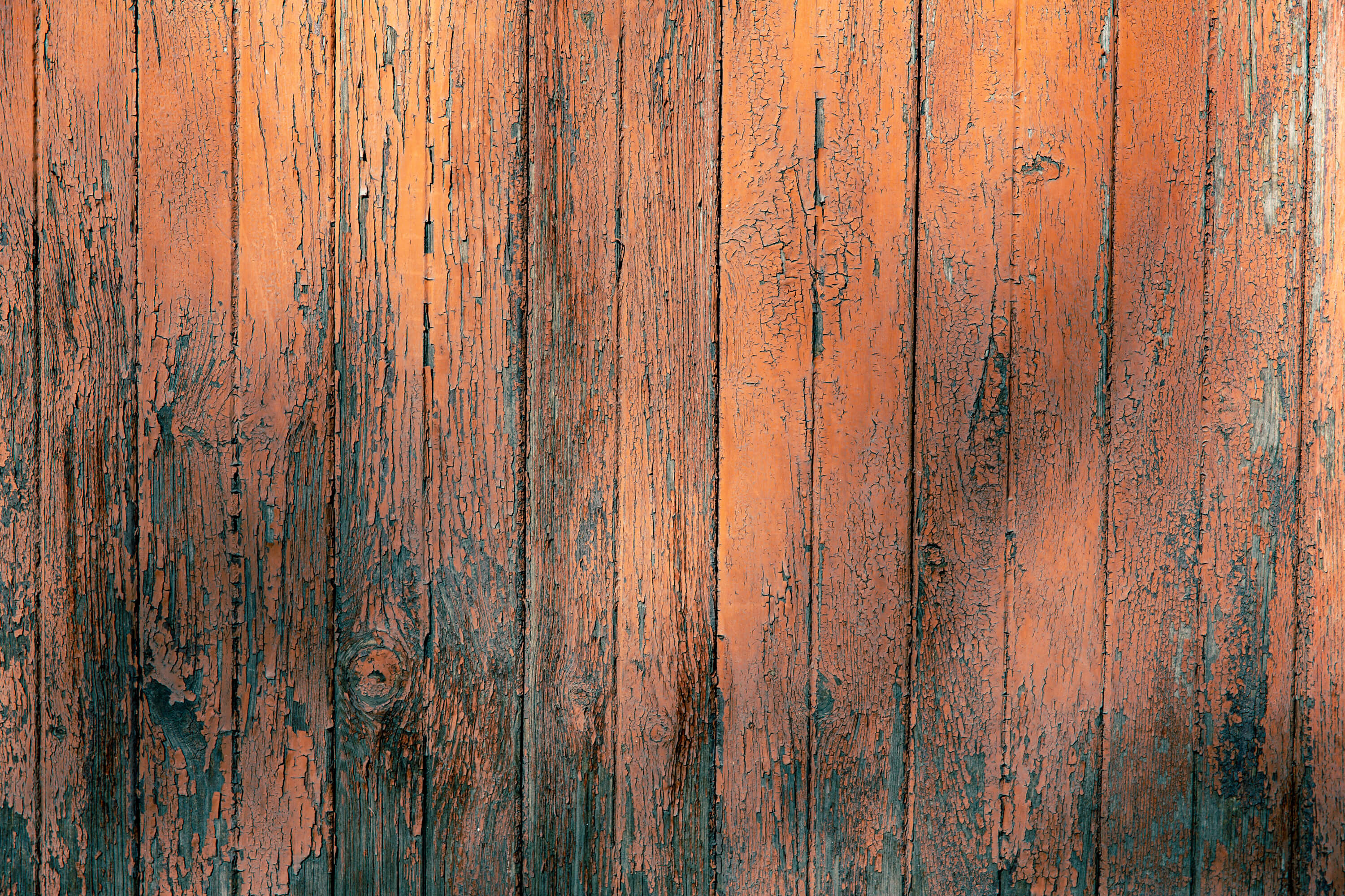 Texture 28