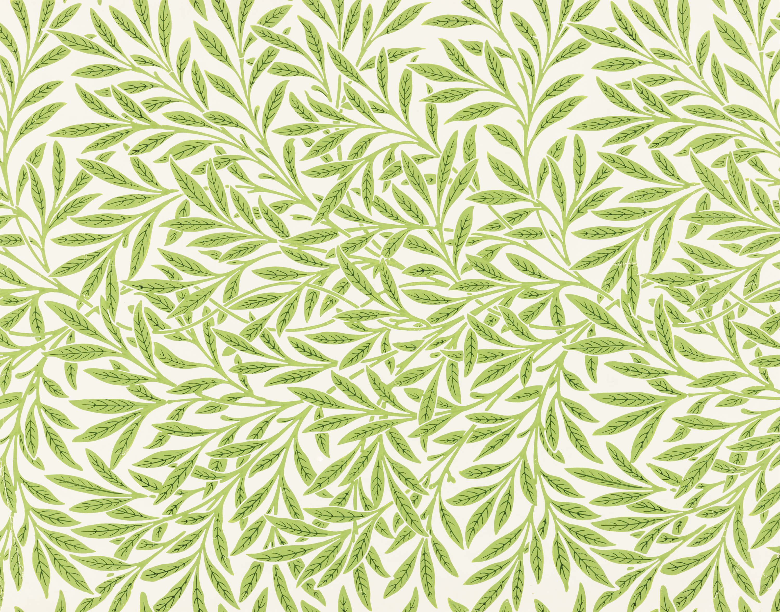 Texture 29