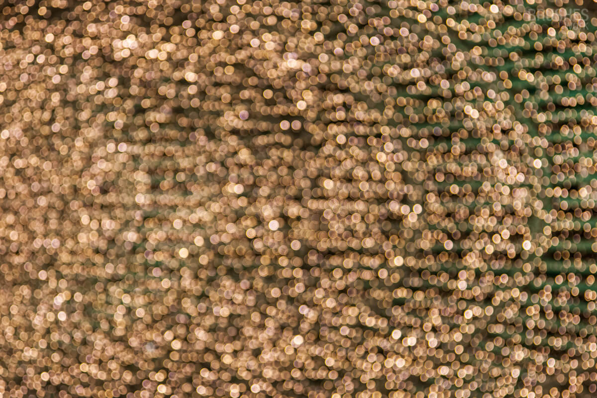 Texture 48