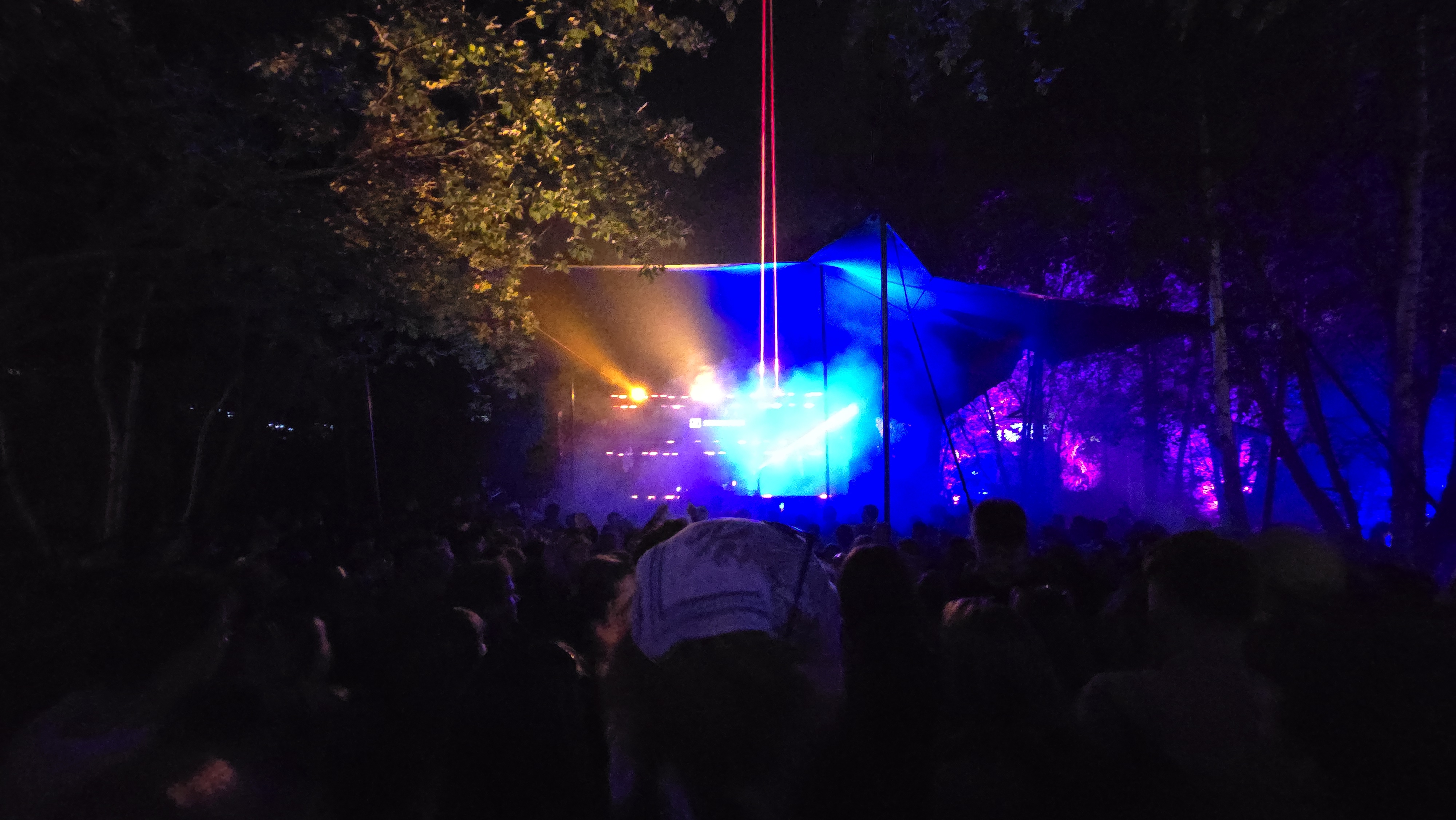 A lively music festival crowd in Denmark, showcasing the joy of shared experiences.