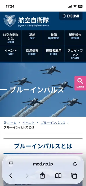 ブルーインパルスを観る