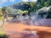 「別府八湯温泉に行く（大分県）