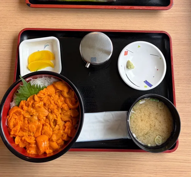 積丹でウニを食べる