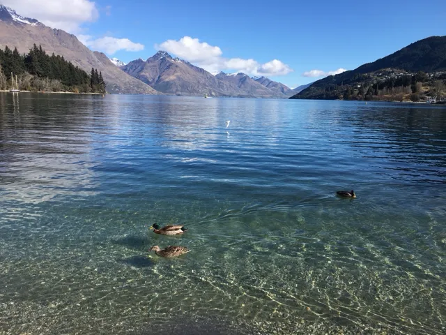 ニュージーランド🇳🇿で湖を眺める