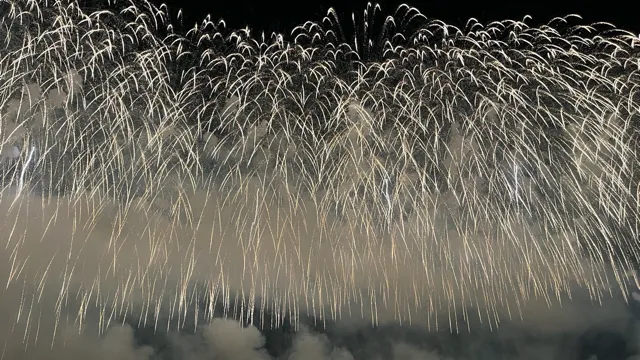 長岡花火のフェニックスを見る