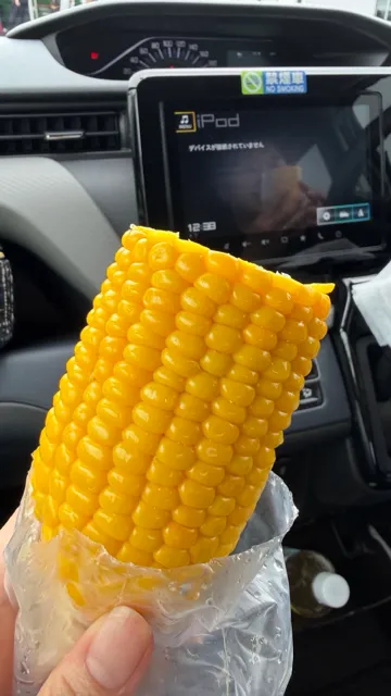 北海道で旬のとうもろこしを食べる
