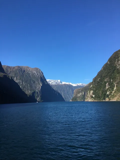 ミルフォードサウンズ⛴️（ニュージーランド）