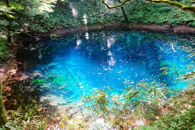 白神山地（青森県・秋田県）