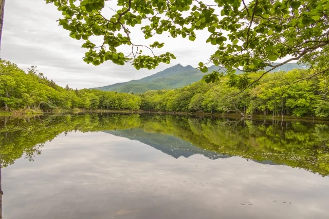 知床（北海道）