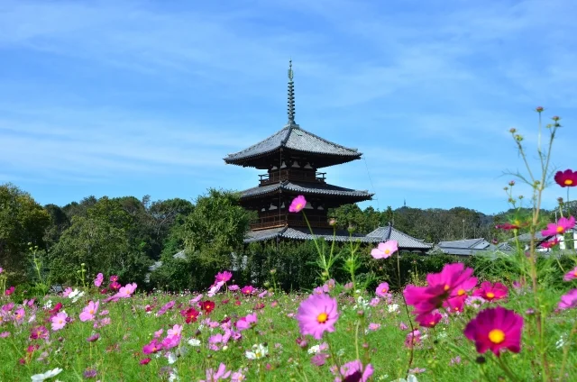 法隆寺地域の仏教建造物（奈良県）