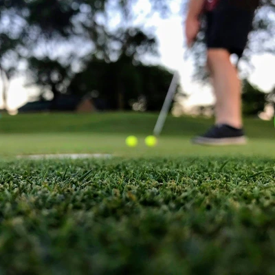 Golf Buddie