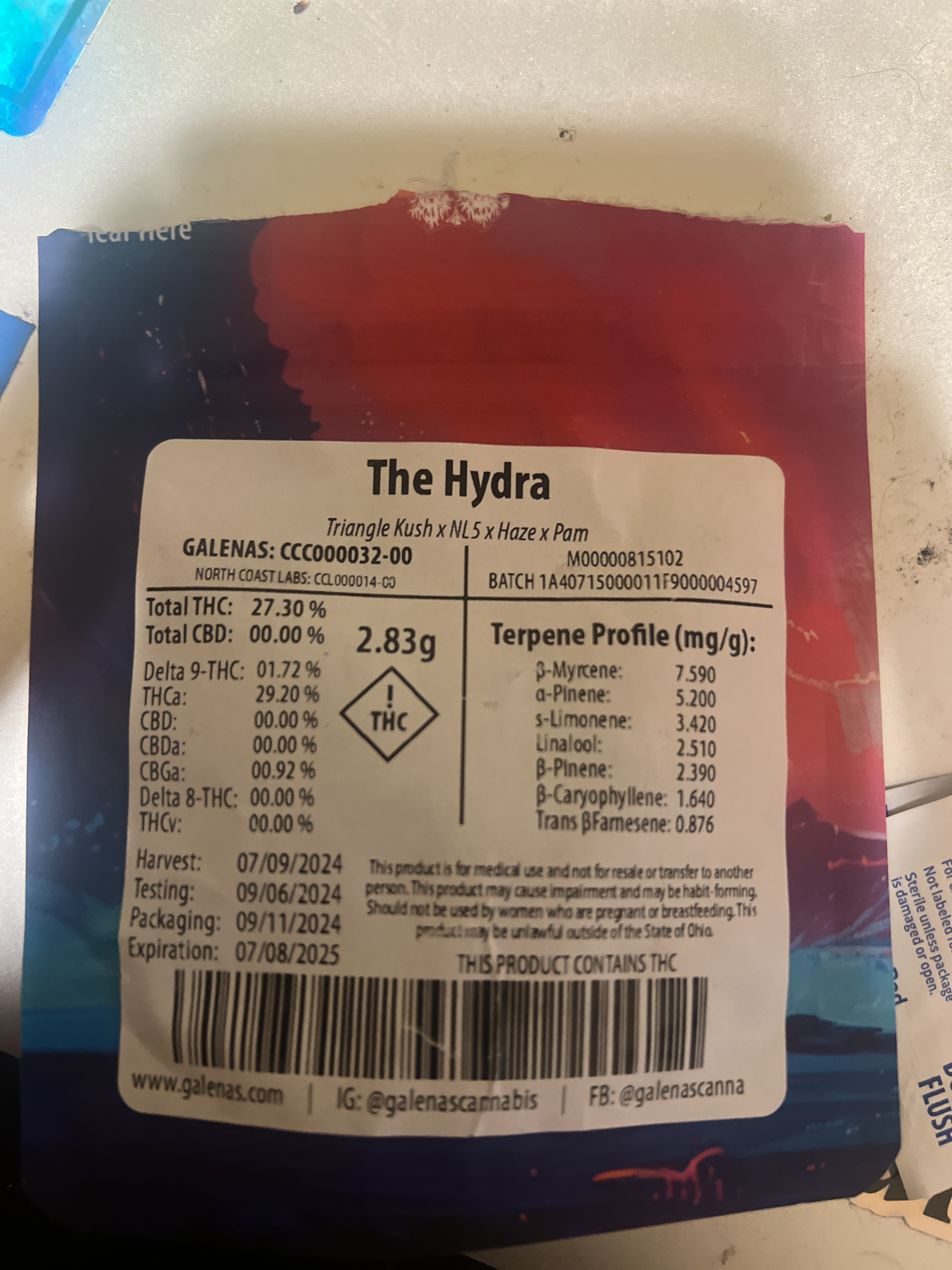 The Hydra