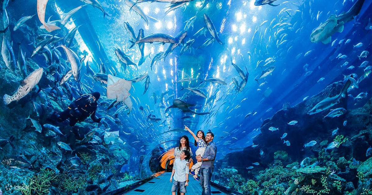 Dubai Aquarium Penguin Cove