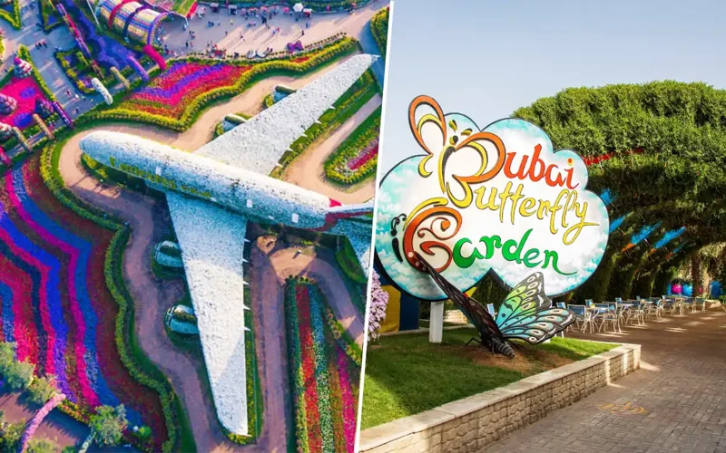 Miracle Garden & Butterfly Garden Combo