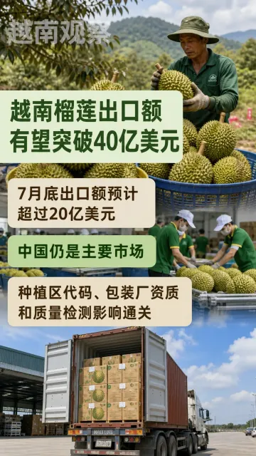8月9日越南观察