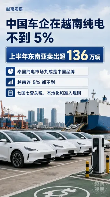 8 月 17 日越南观察