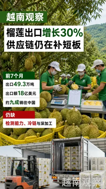 8 月 22 日越南观察