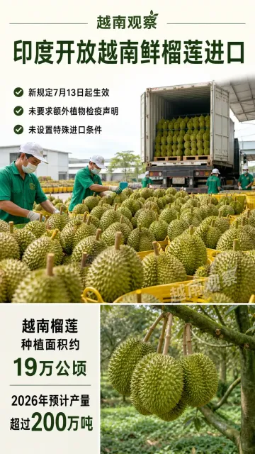 7月30日越南观察