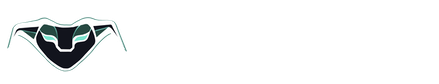 AdaSwap logo