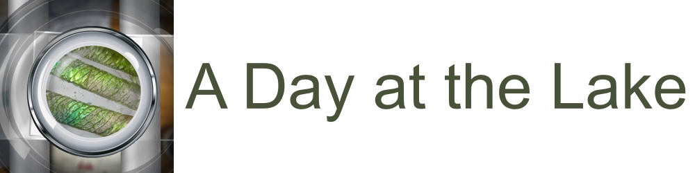 A Day at the Lake  logo