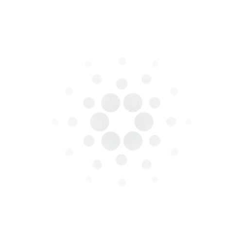 Building On Cardano logo