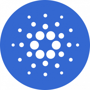 Cardano Stake Pool Explorer logo