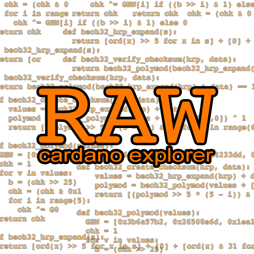 Raw Cardano Explorer