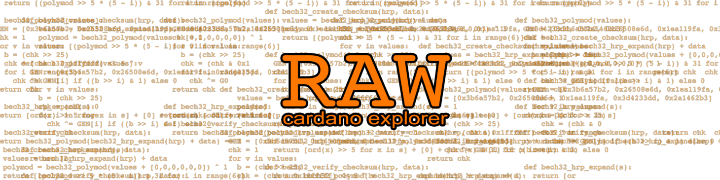 Raw Cardano Explorer logo