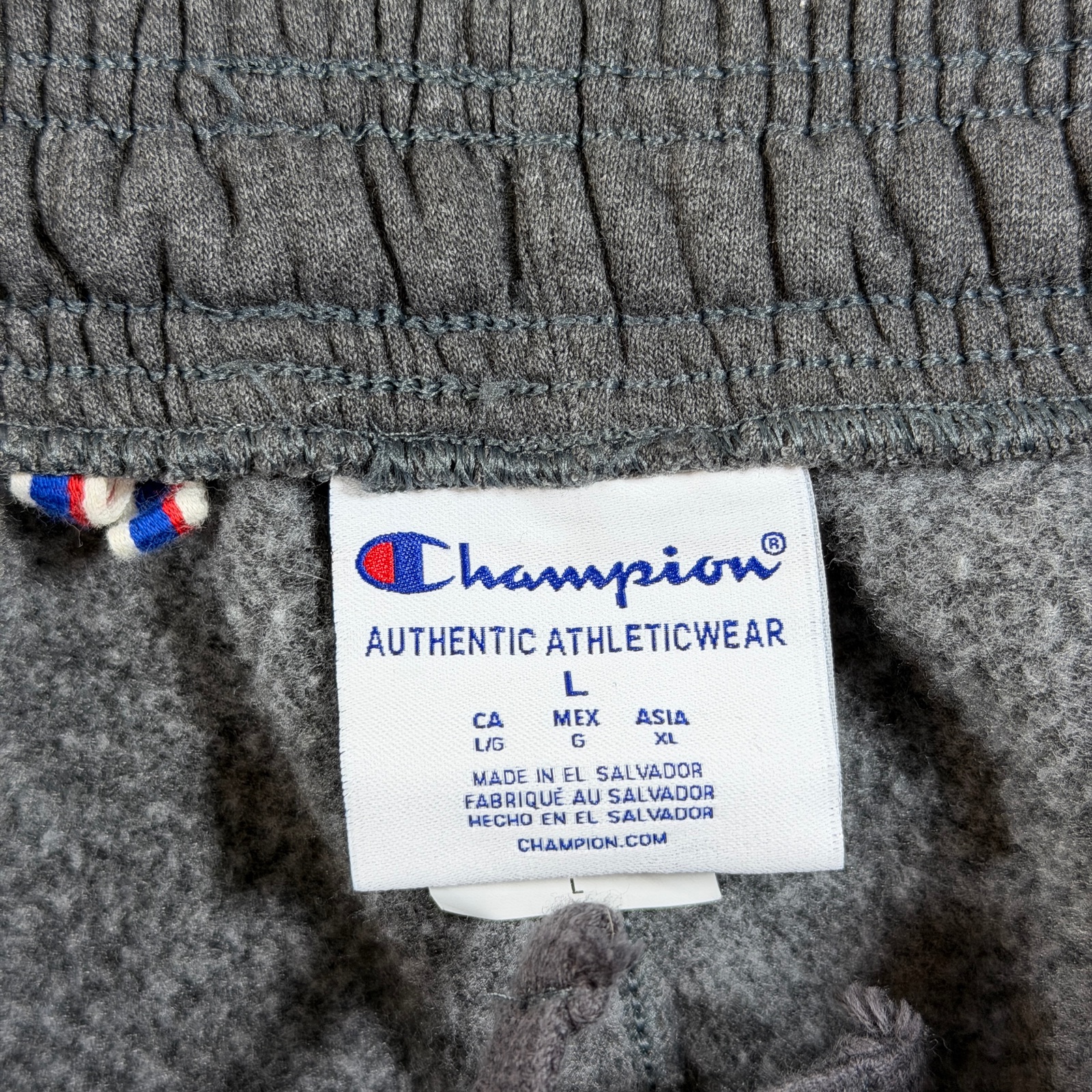 Champion Heavyweight Joggers Mens L Dark Gray Drawstring Athletic Lounge Pants thumbnail 4