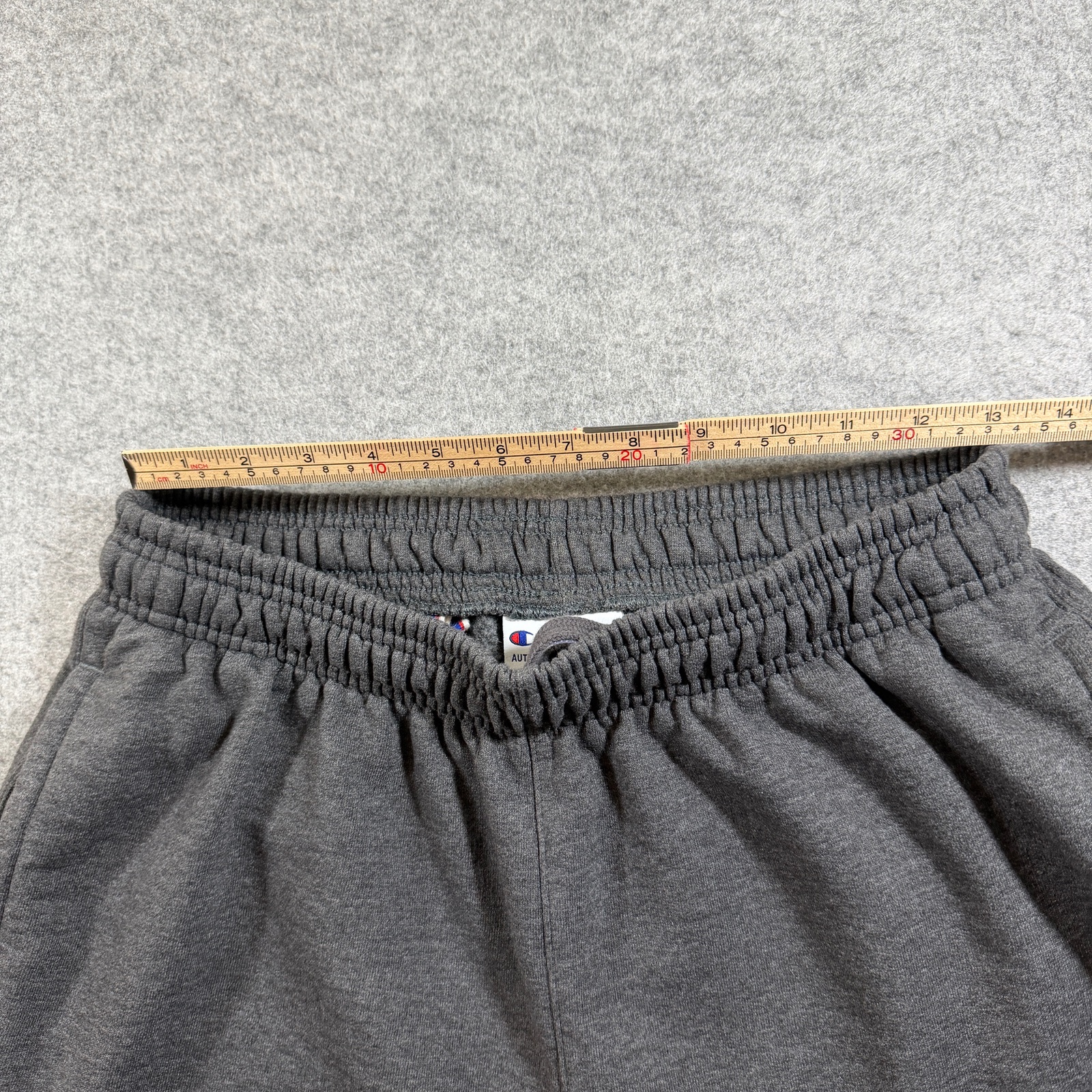 Champion Heavyweight Joggers Mens L Dark Gray Drawstring Athletic Lounge Pants thumbnail 5