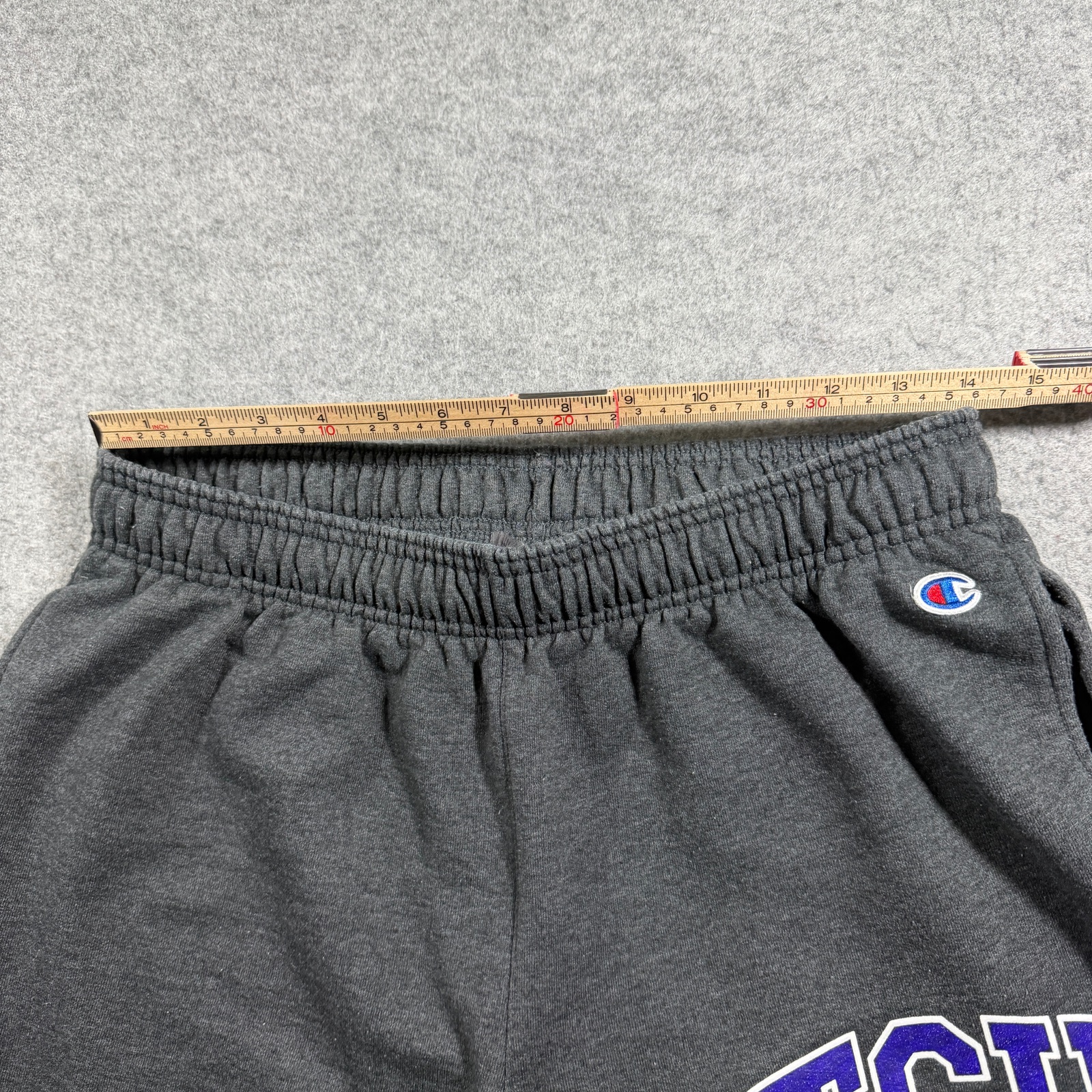 Champion TCU Joggers Mens L Charcoal Gray Fleece Elastic Waist Drawstring Pants thumbnail 7
