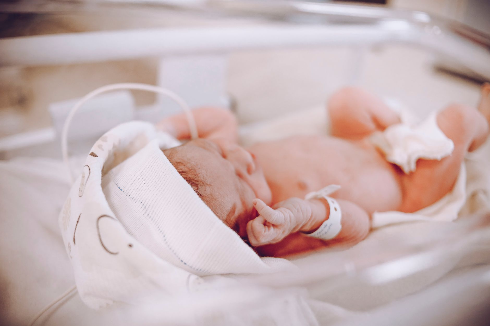 Baby Insurance Card Timeline Enrollment: 2026 Complete Guide