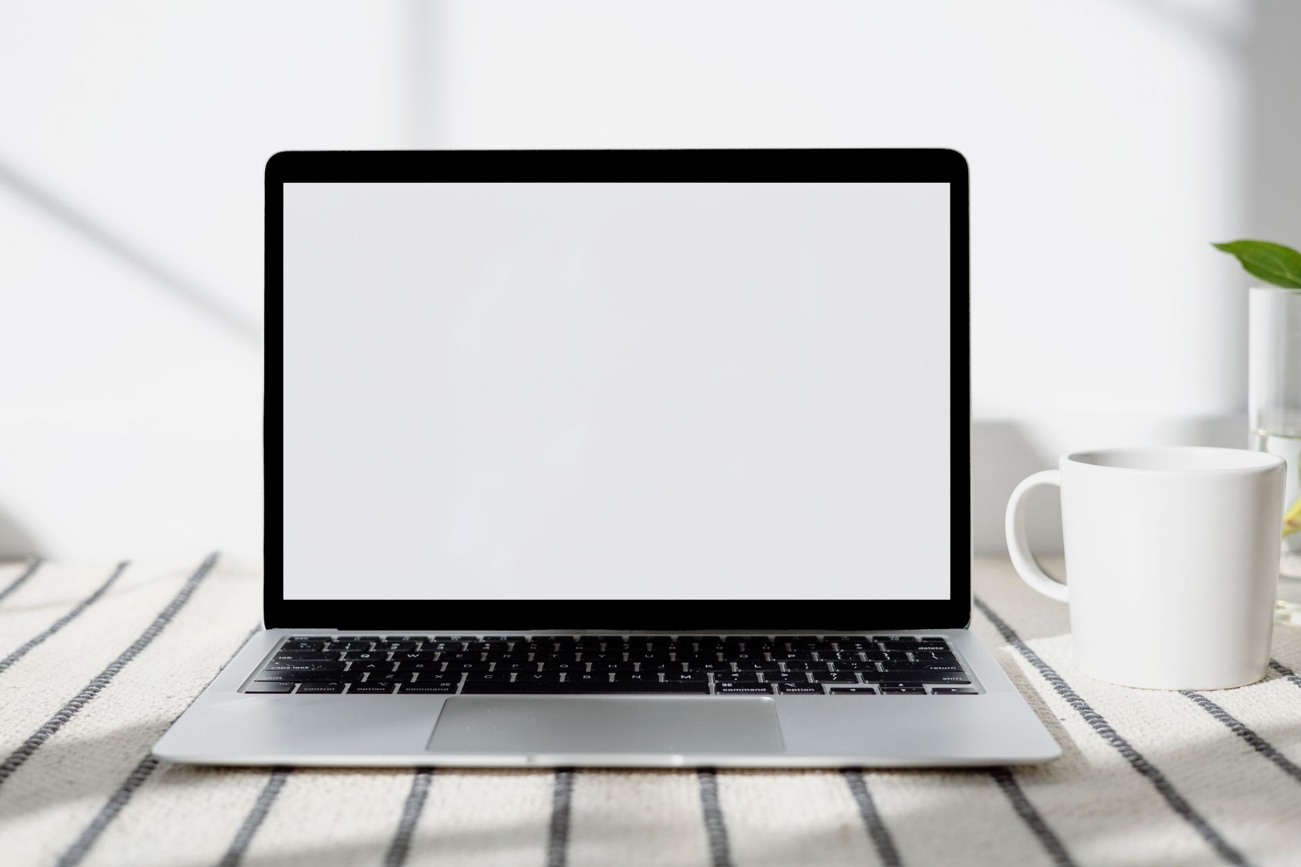 A stack of baby name books beside a laptop screen showing a numerology calculator, soft morning light, coffee mug, and a plant