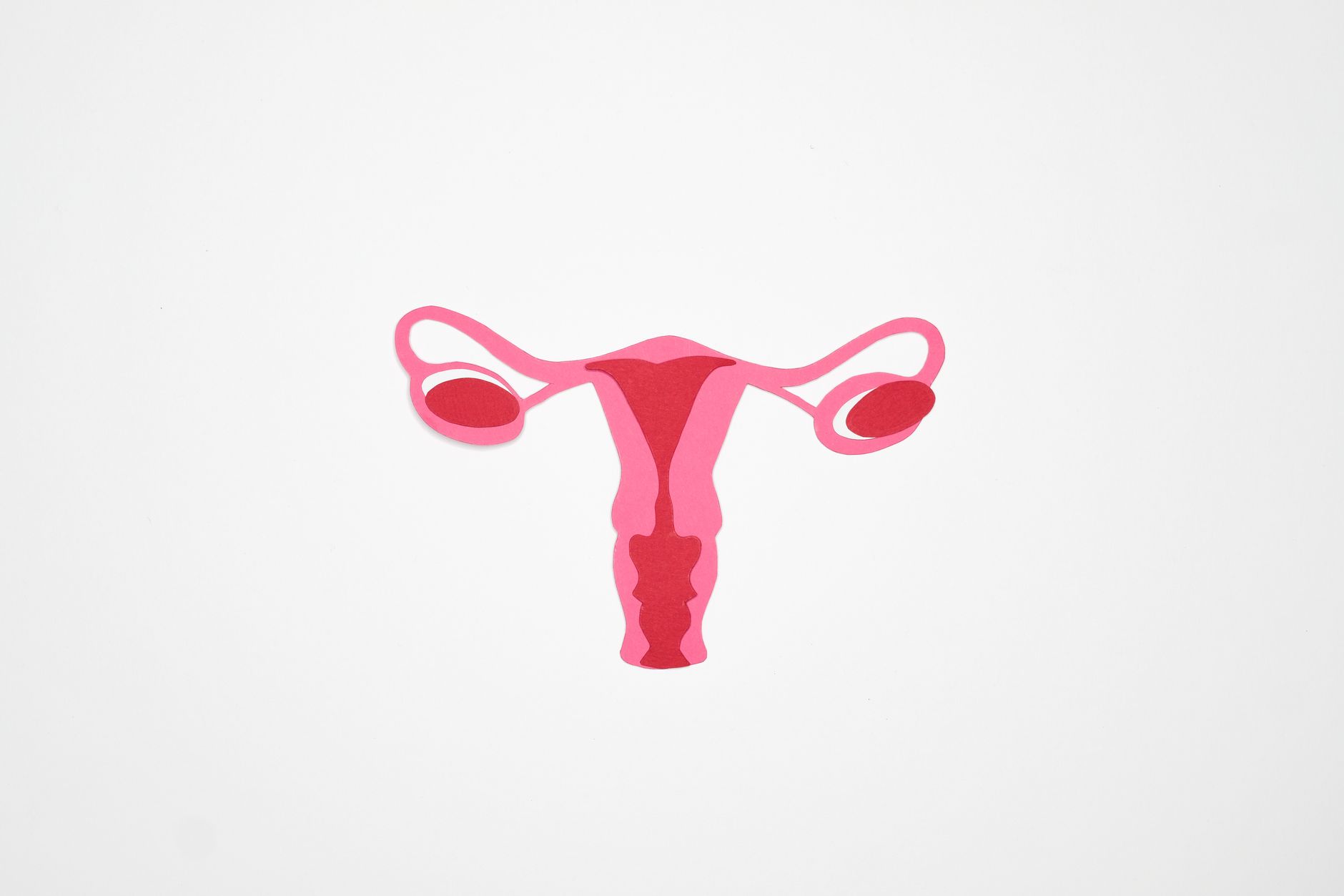 Placenta location diagram