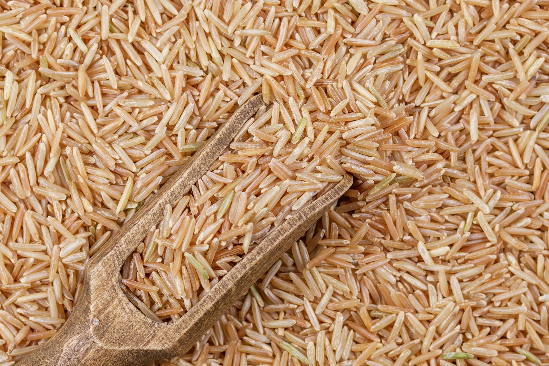 Close‑up of a baby bottle with a slow‑flow nipple, a measured scoop of rice cereal beside it, and soft daylight streaming onto a wooden table
