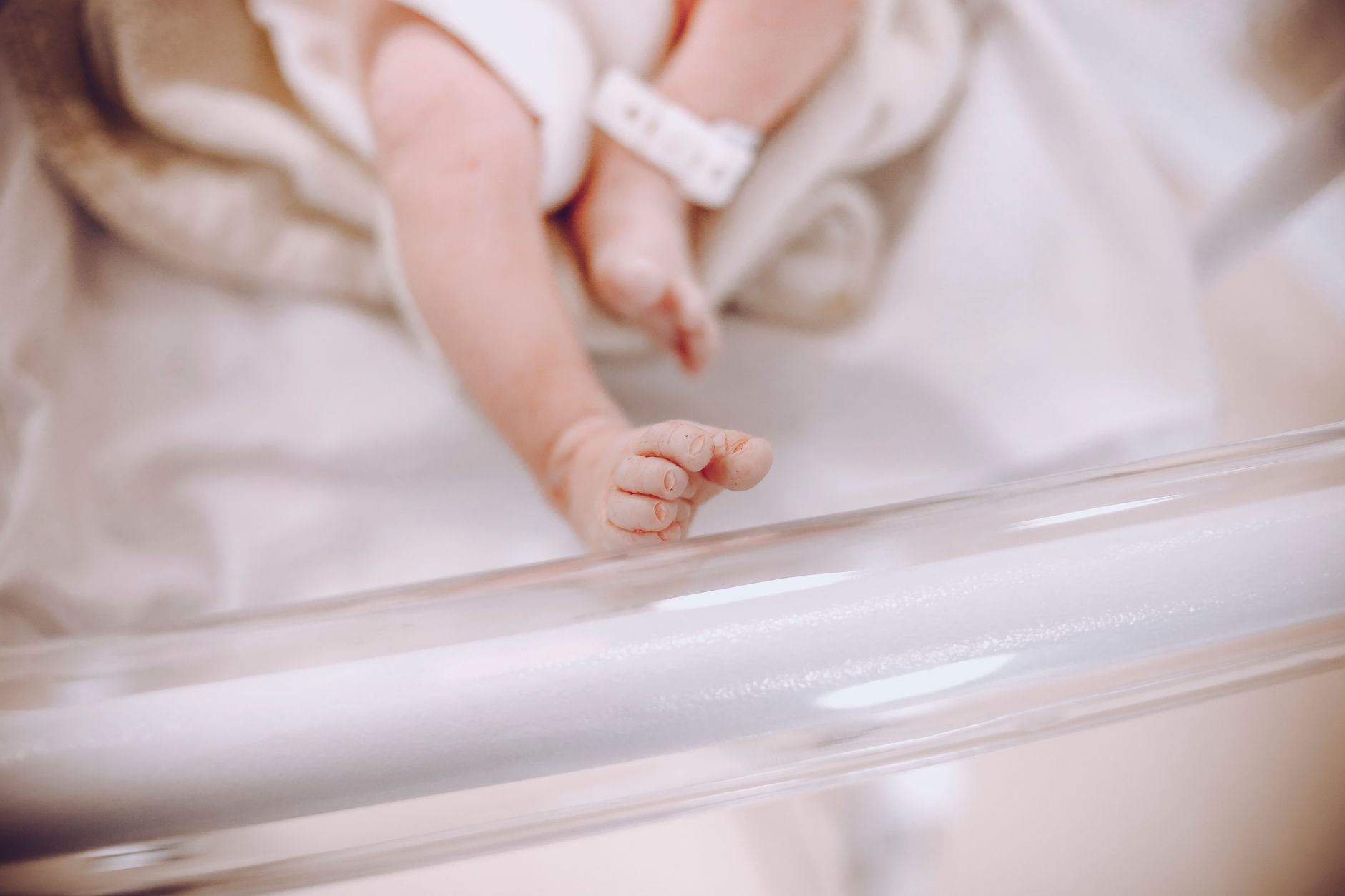 A pair of tiny baby feet being gently held by adult hands in a hospital setting, soft focus