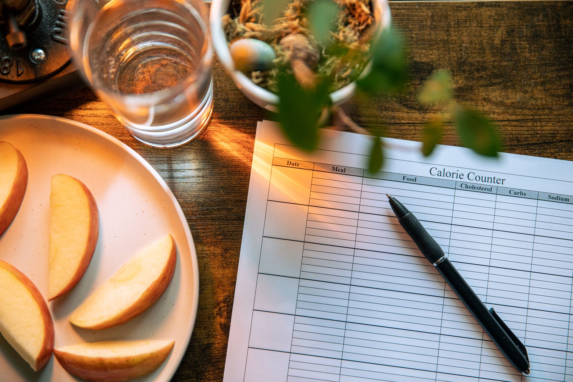 Softly lit kitchen counter with a bowl of fresh berries, a glass of water, and a small notebook showing a fertility tracking chart