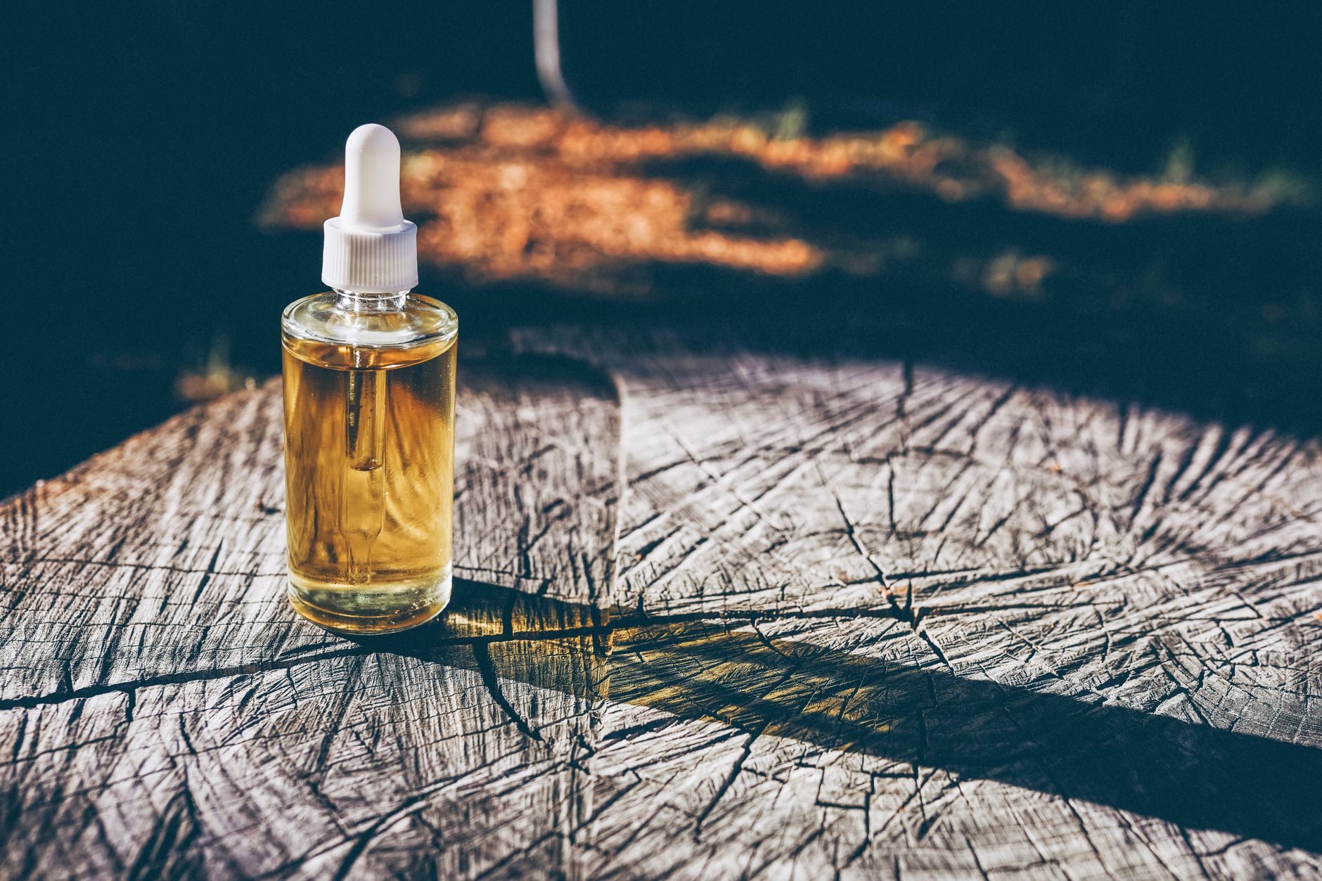 A small dropper of castor oil perched beside a natural wooden brush, soft morning light highlighting the oil's amber hue