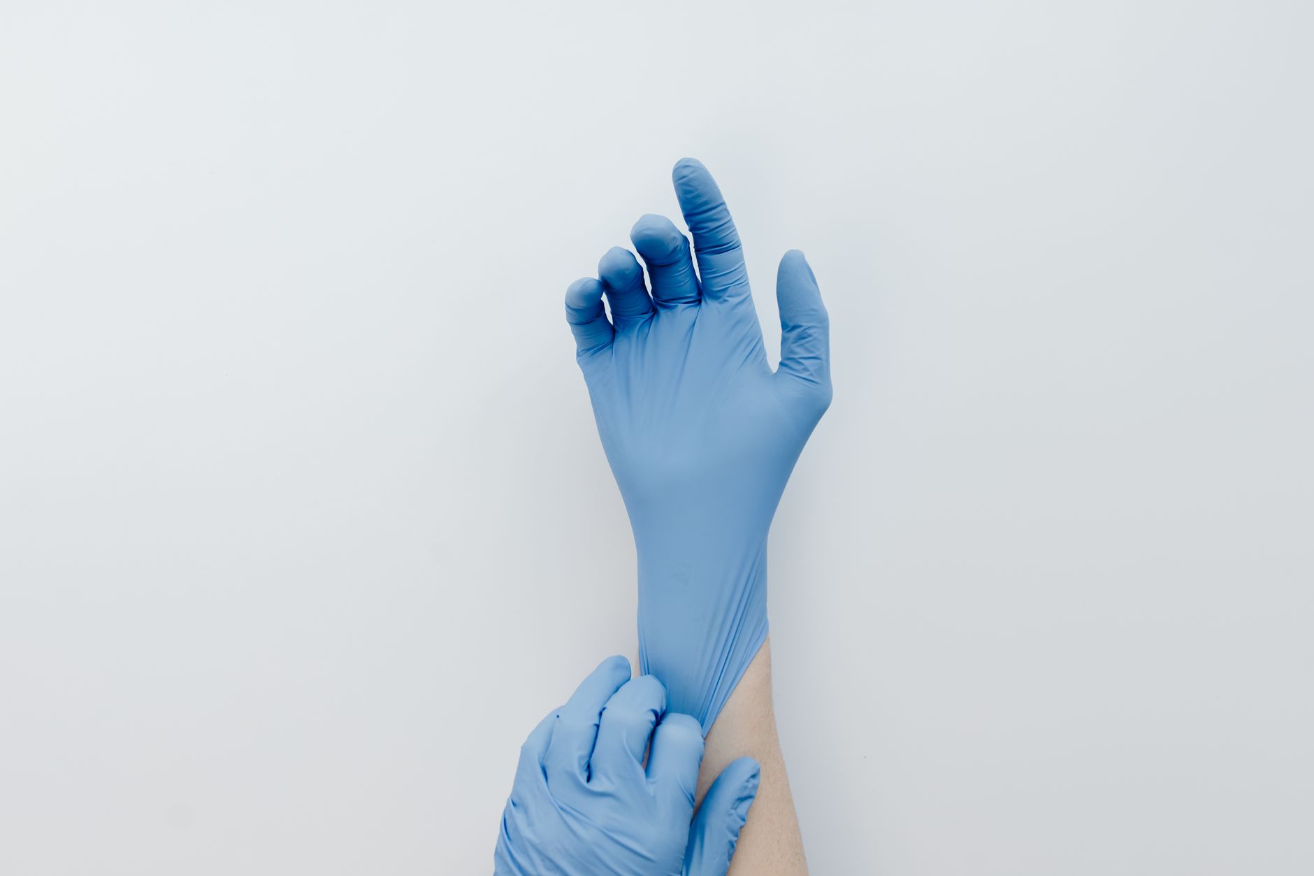 Hands wearing disposable nitrile gloves holding a scoop over a clean cat litter box, with a small plant nearby for a calming touch