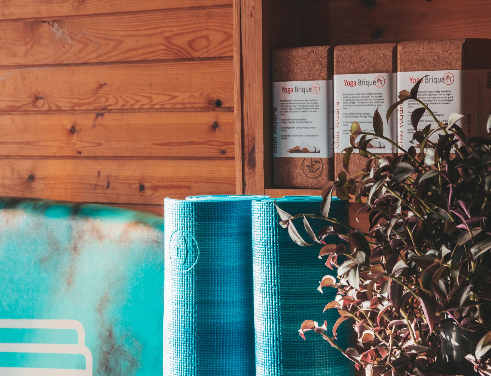 a calm pregnancy‑friendly wellness shelf showing acetaminophen, a yoga mat, a warm compress, and a physical therapy brochure, bright natural light emphasizing safety alternatives