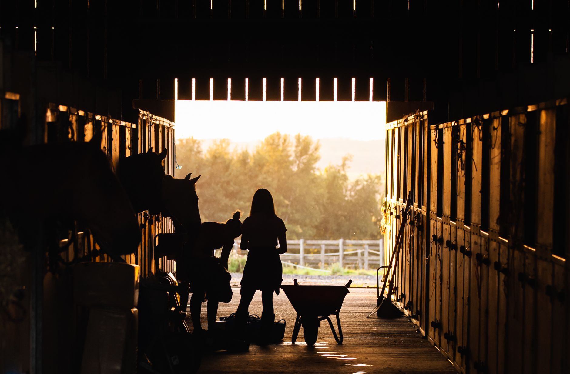A stable tour guide leading a small group of pregnant women through a clean, modern equestrian center with open doors and fresh air