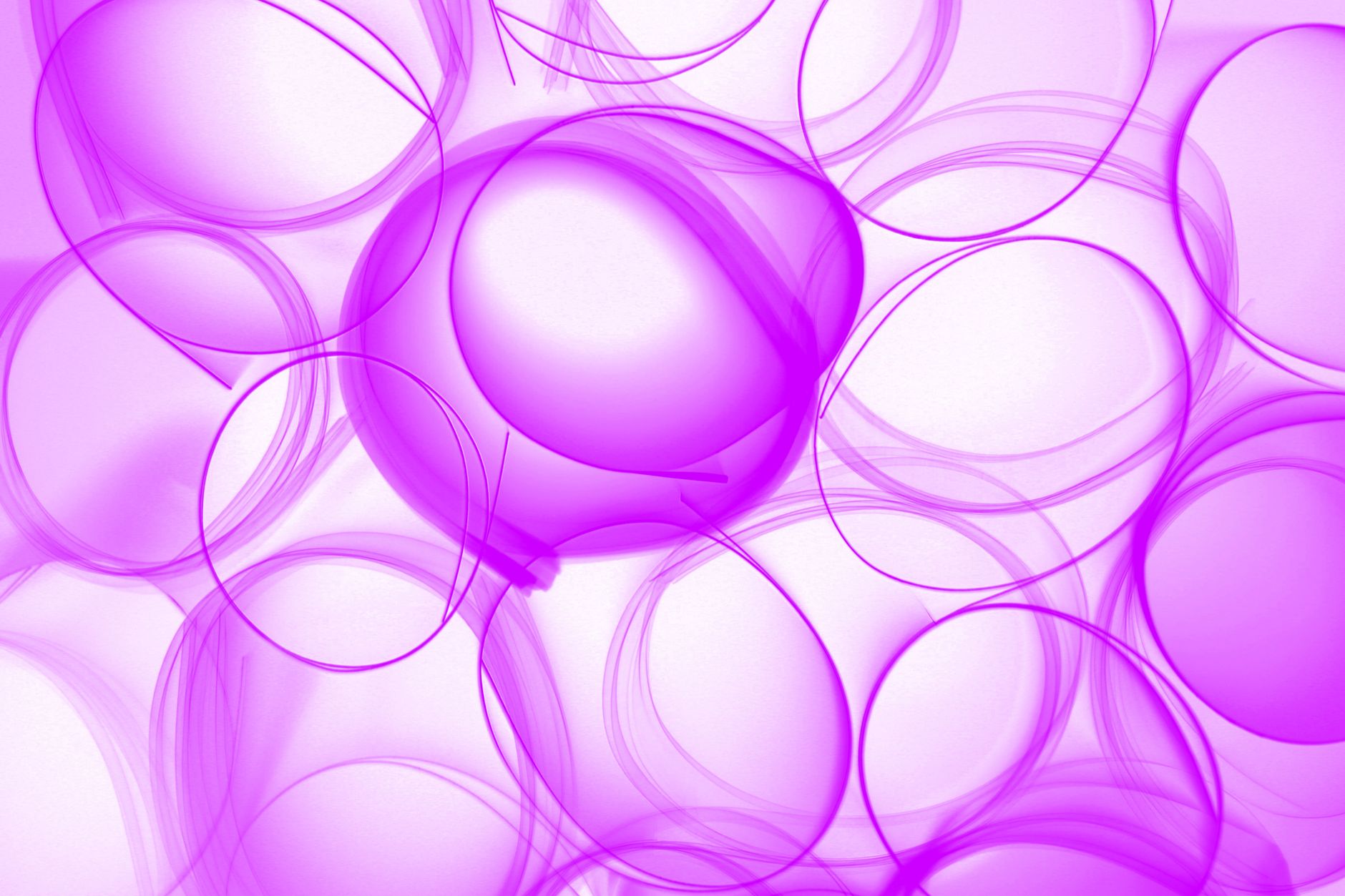 illustration of a mitochondrion with L‑carnitine molecules ferrying fatty acids across the inner membrane, overlaid with a pregnant silhouette to convey maternal metabolism