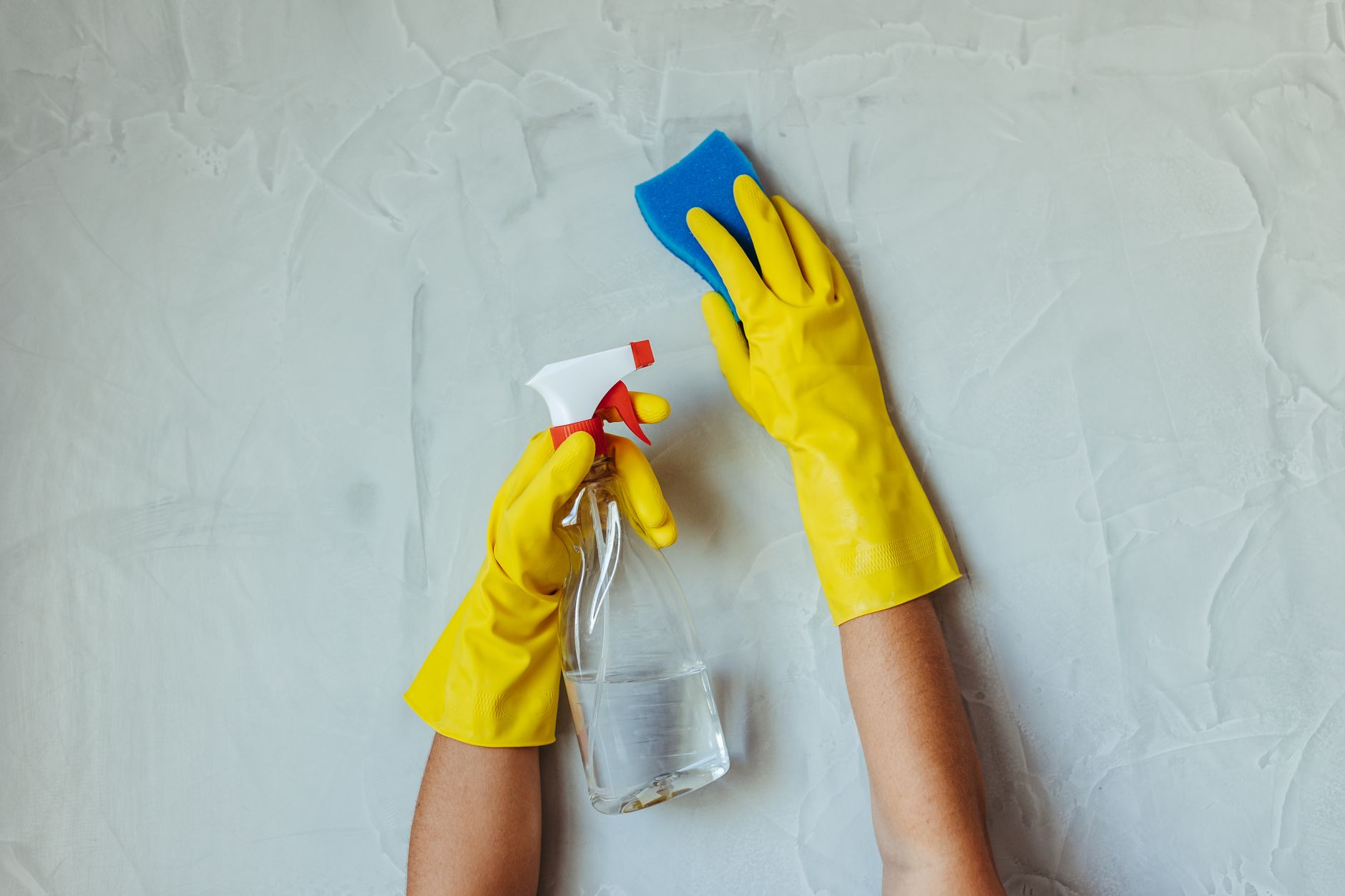 pregnant woman wearing N95 mask and gloves cleaning small mold spot on wall with sponge