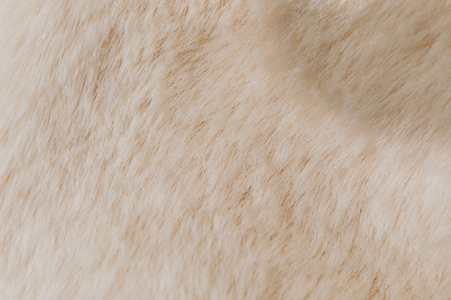 A close‑up of a steaming humidifier on a bedside table beside a child's stuffed animal, soft light highlighting the mist