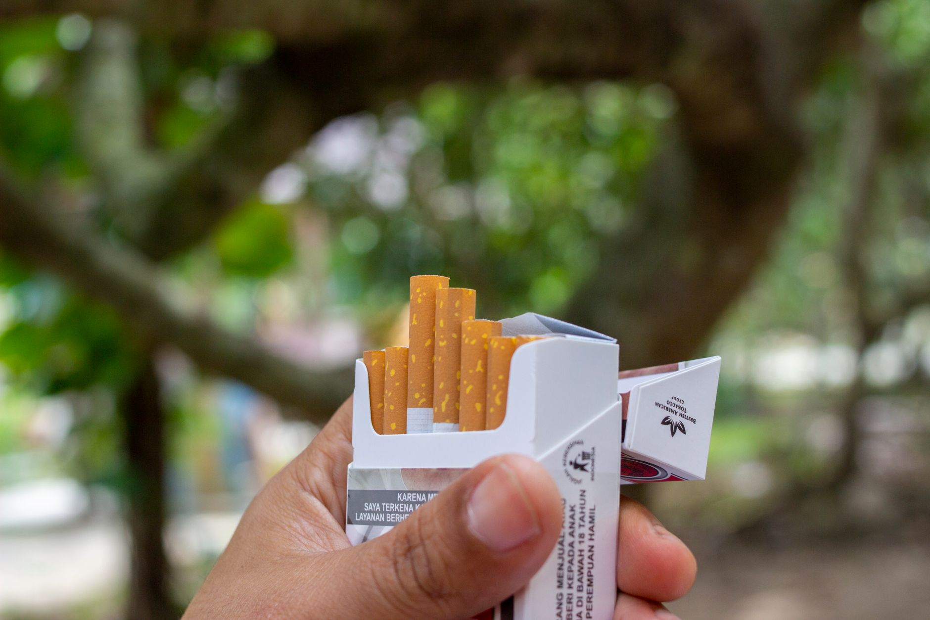 A pregnant person's hand holding a nicotine patch box, with a doctor's consultation form in the background