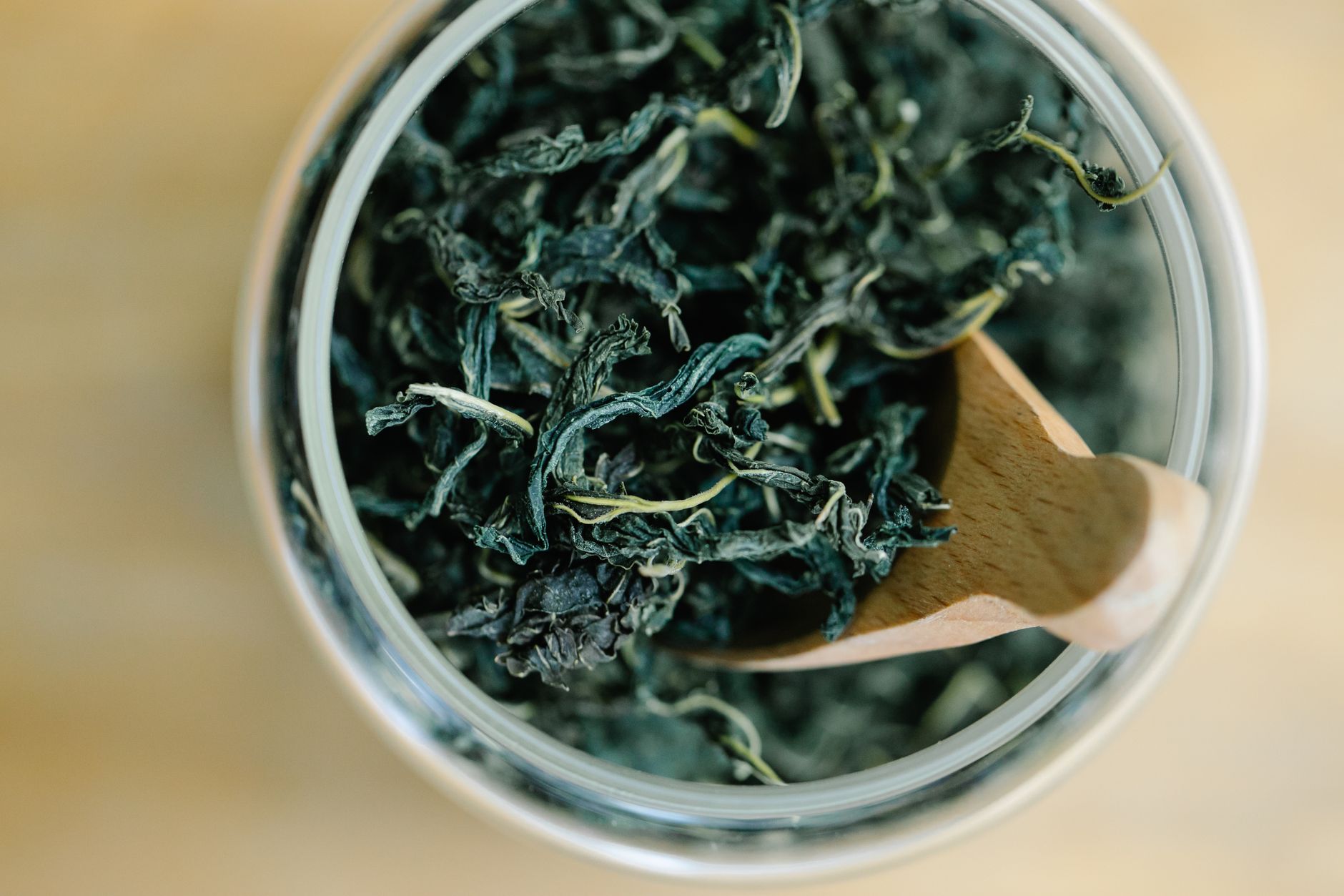 Close-up of dried pennyroyal leaves in a glass jar, with a label that reads ‘Pennyroyal – Not for Pregnant Women’, soft diffused lighting highlighting the green foliage